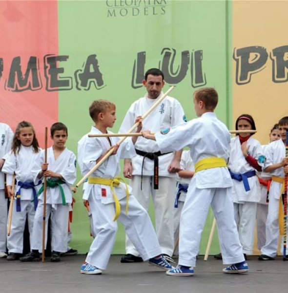 SYSTEMA (aulas de artes marciais para crianças)